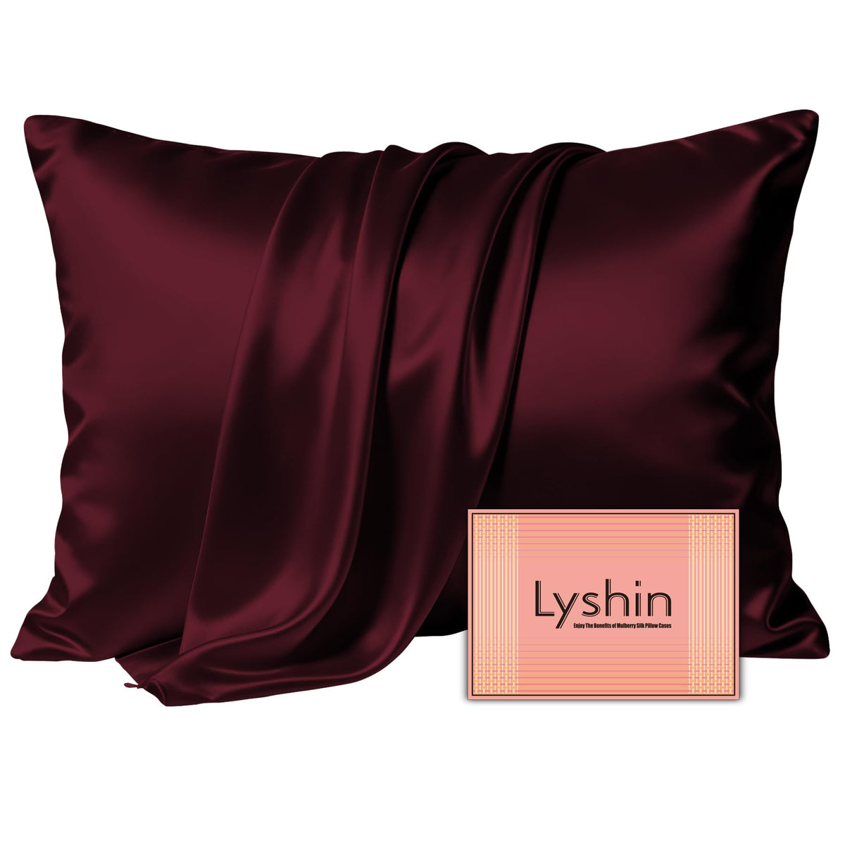 LYSHIN Silk Pillow Cases 2 Pack Standard Size with Zipper, Champagne