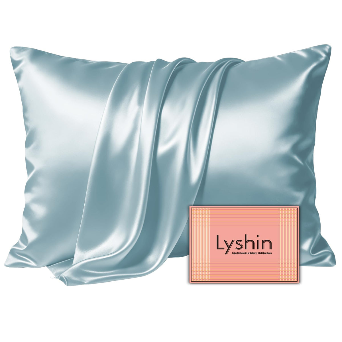 LYSHIN Silk Pillow Cases 2 Pack Standard Size with Zipper, Champagne