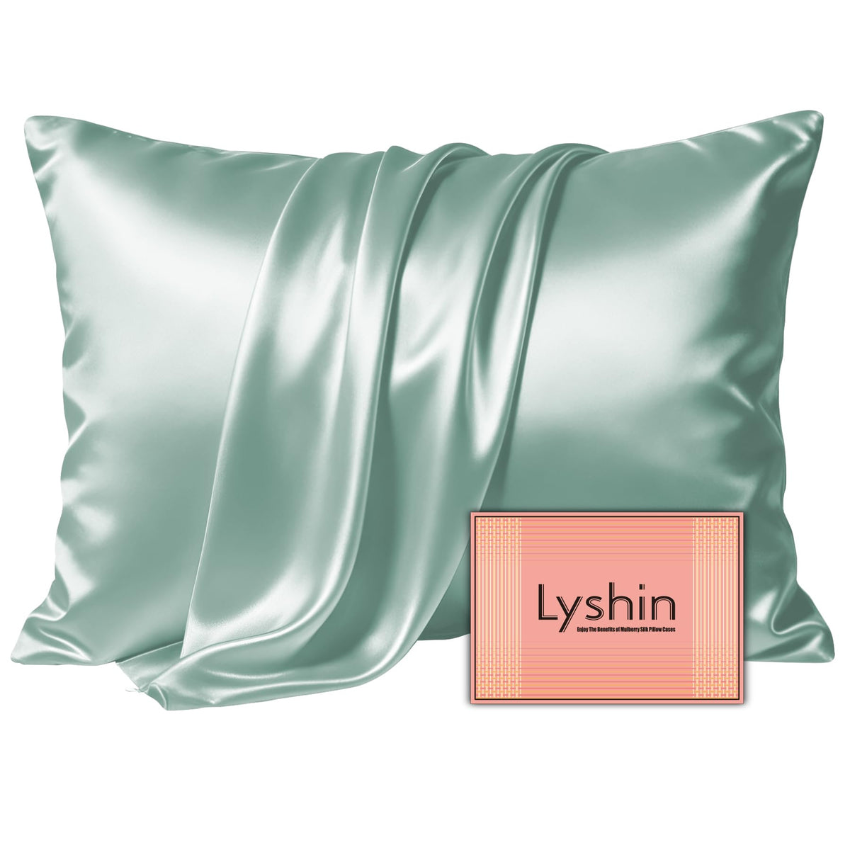 LYSHIN Silk Pillow Cases 2 Pack Standard Size with Zipper, Champagne