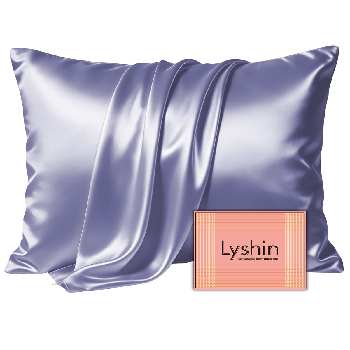 LYSHIN Silk Pillow Cases 2 Pack Standard Size with Zipper, Champagne