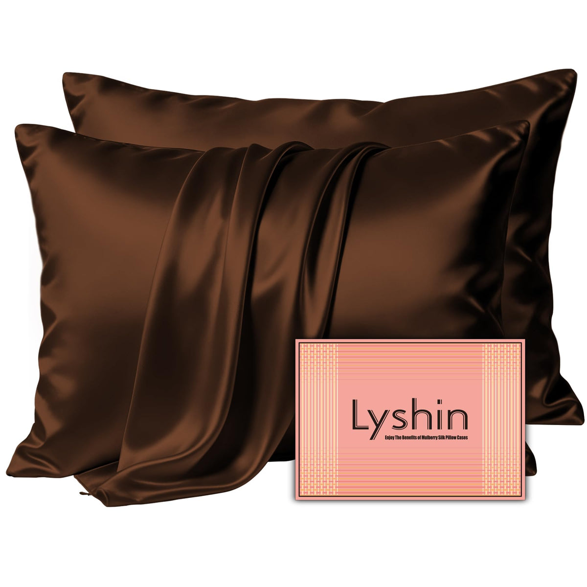 LYSHIN Silk Pillow Cases 2 Pack Standard Size with Zipper, Champagne