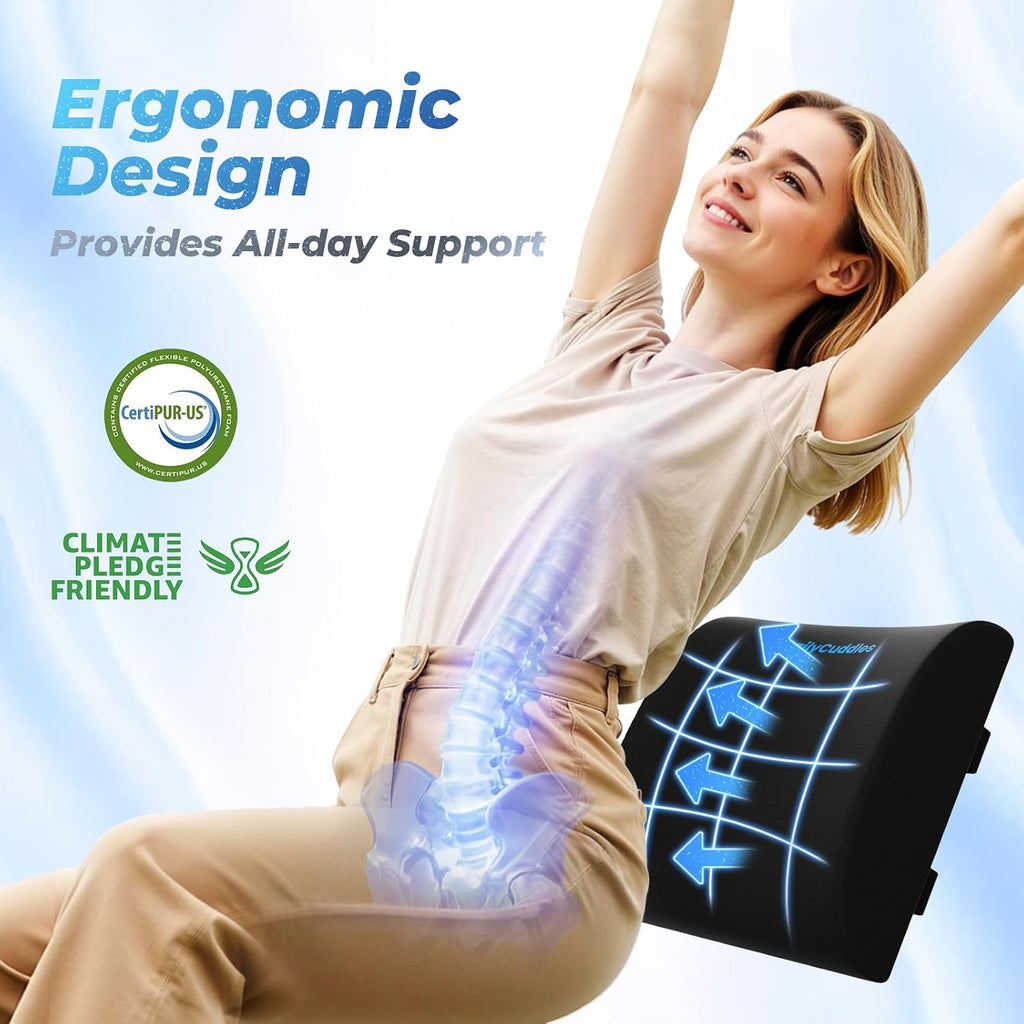 Lumbar Support Pillow, Ergonomic Back Cushion for Office Chair, Black/Large