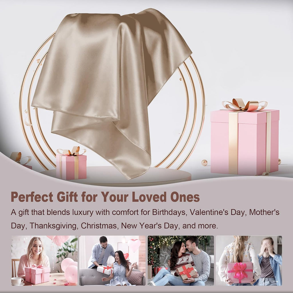 LYSHIN Silk Pillow Cases 2 Pack Standard Size with Zipper, Champagne