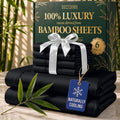 DECOLURE 100% Viscose Derived from Bamboo Sheets Queen Size | 6 Pc Bed Set