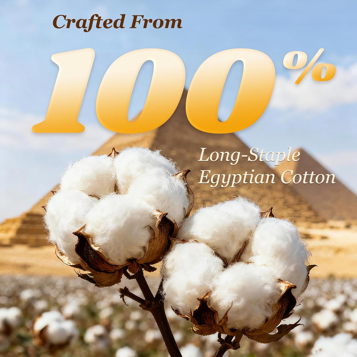 LBRO2M 100% Egyptian Cotton Sheet 1000 TC, Durable 16” Deep Pocket Sheets